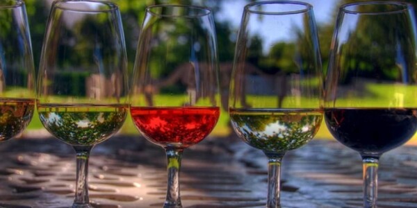 Bodegas Sḿbolo impulsa la cultura vinícola con Cata de Vinos Jóvenes